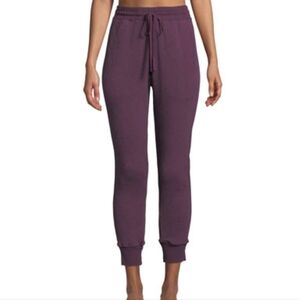 Xirena Taylor Desert Trip‎ Jogger Pants